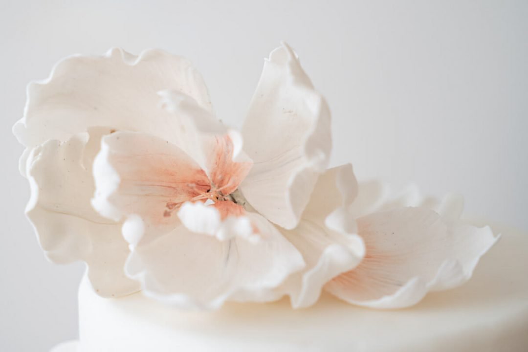 pale pink and white sugar craft flowers on top of a cake