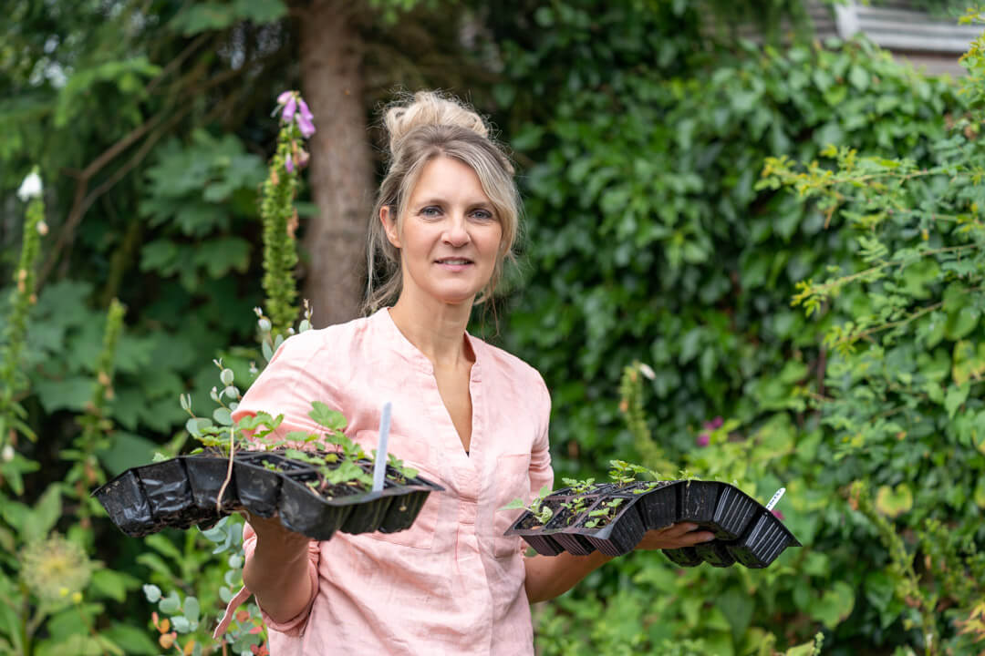gardener holding trays of young plants in each of her hands