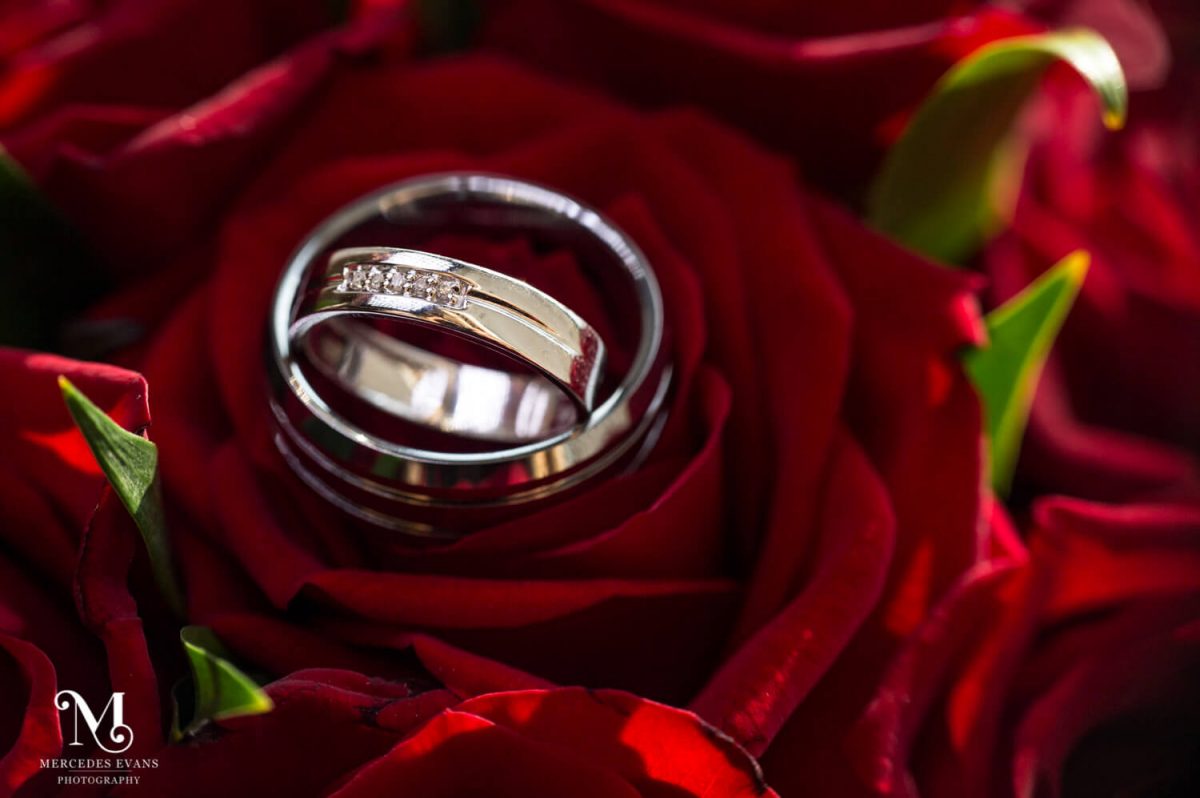 wedding rings nestled in the petals of the bride's red roses