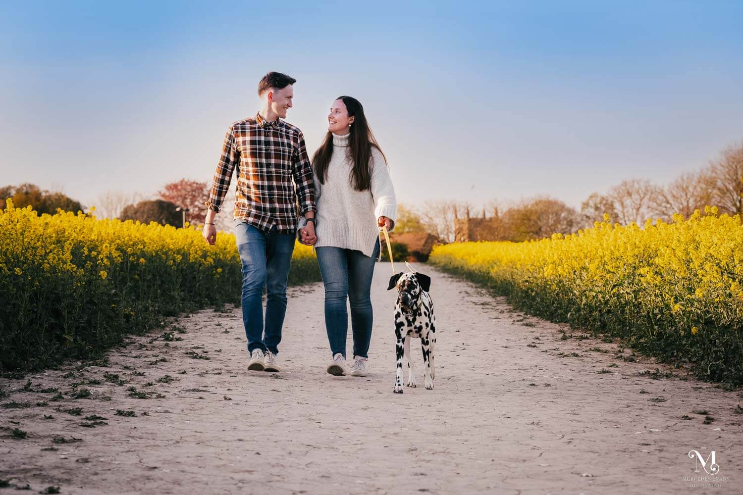 young couple walk their dog on a path through a rapeseed field