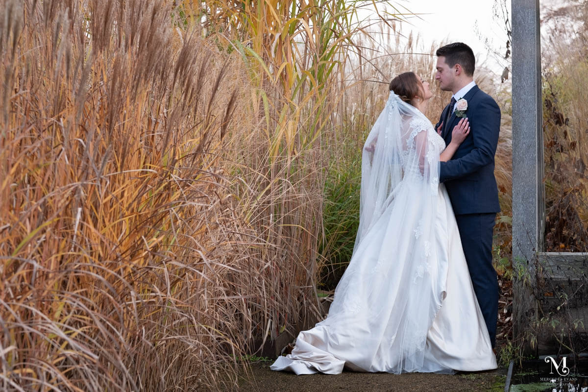 the bride and groom stand close and look into each other's eyes, they are between long grasses and a metal structure
