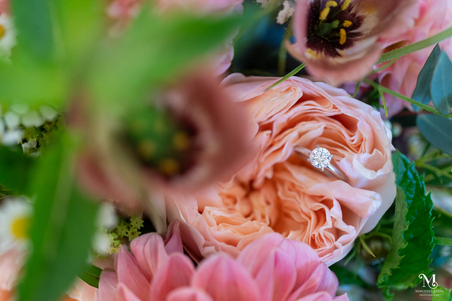 a solitaire diamond ring is nestled in the petals of an apricot david austen rose in a bouquet with dusky pink tulips, eucalyptus, daisies and green foliage