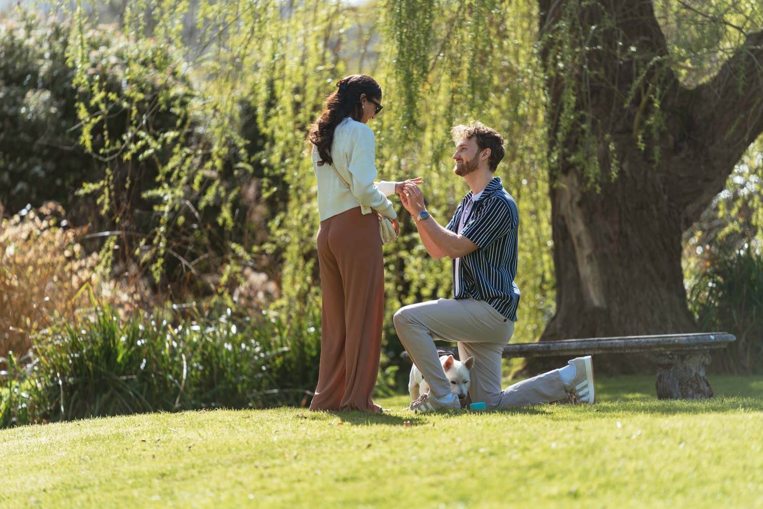 young man kneels down and proposes to his standing girlfriend, their small white dog sniffs the ring box
