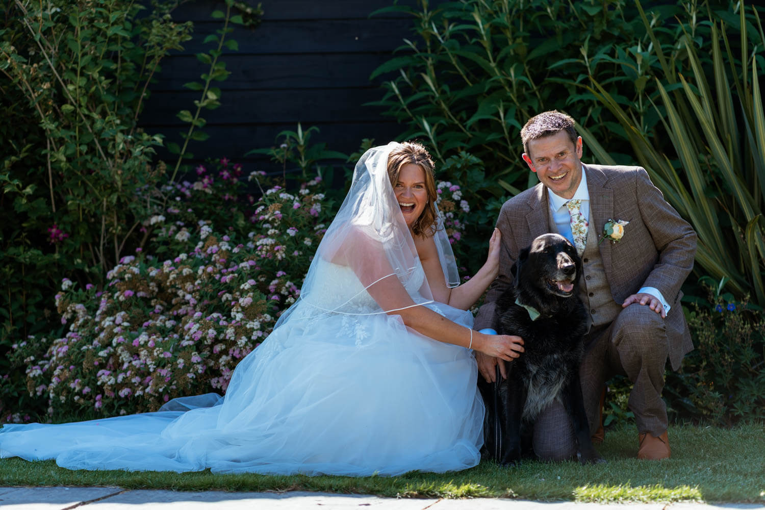 The bride and groom kneel with their dog among the flowerbeds.